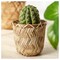 Plant Pot Handmade Bamboo 9cm