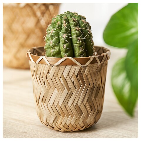 Plant Pot Handmade Bamboo 9cm