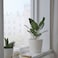 Plant Pot Simple And Timeless Plant Pot That Highlights Your Plants White 15cm