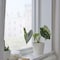 Plant Pot Simple And Timeless Plant Pot White 12cm