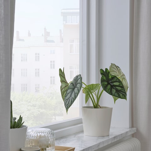 Plant Pot Simple And Timeless Plant Pot White 12cm
