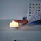 Led Night Light White/Rabbit Battery-Operated