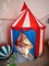 Led Night Light White/Rabbit Battery-Operated