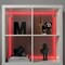 LED Lighting Strip 3 M