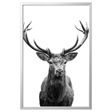 Picture With Frame Folding The Canvas Around The Frame 78X118cm