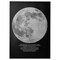 Picture Moonlight 50X70cm