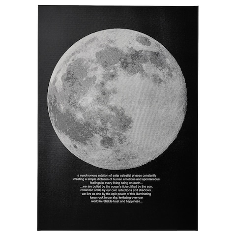 Picture Moonlight 50X70cm