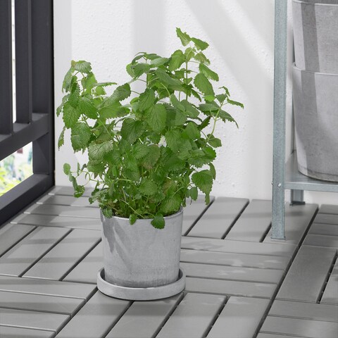 Saucer In/Outdoor Light Grey 15cm