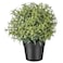 Artificial Potted Plant Rosemary 9cm