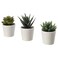 Artificial Potted Plant With Pot In/Outdoor Succulent 6cm 3 Pack