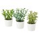 Artifi Potted Plant W Pot Set Of 3 5cm