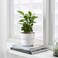 Plant Pot In/Outdoor White 12cm