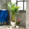 Plant Pot In/Outdoor White 12cm