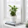 Plant Pot In/Outdoor White 12cm