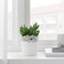 Plant Pot Samverka Series Has A Nice Pattern With Birds 9cm