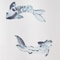 Shower Curtain White Blue/Fish 180X200cm
