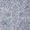 Shower Curtain White/Blue 180X200cm