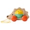 Pull Toy Hedgehog/Multicolour