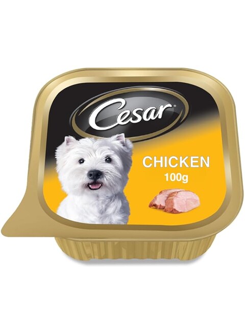 Cesar Dog Food, Chicken Dog Wet Food 100g, Formulated Without Grains, Complete and Balanced Dog Nutrition