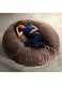 Comfy Chill Super Soft Velvet Bed Cocoon Bean Bag Brown