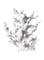 THE WHITE SHOP Artificial Coral Ornament Aquarium Sea Plants Decoration Underwater Craft Resin Fish Tank Landscape (Color : White)
