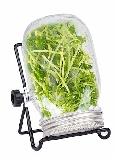 Sprouting Wide Mouth Jar with Steel Mesh Lids and Stands, 650ML Sprouter Jars, for Broccoli Beans Microgreens Sprouts