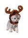 Lxeqiony Christmas Pet Reindeer Costume Antler Hat Cap Adjustable Christmas Xmas Headdress Cute Head Accessories for Cat and Small Dog