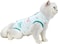 KASTWAVE Dog/Cat Clothing Professional Recovery Suit With Anti Licking for Abdominal Wounds or Skin Diseases, Indoor Clothing E-Collar for Cats After sterilization, Surgery - Green L
