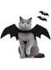 Lxeqiony 2 Pcs Cat Halloween Costume Bat Wings Pet Cosplay, Kitten Halloween Costume Accessory for Puppy Dog