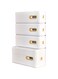 WESTCH Underwear and Sock Organizer, Wall-Mounted Wardrobe (Socks)