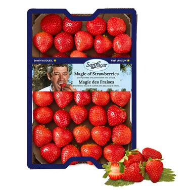 Strawberries 800g