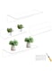 TuToing Pack of 4 Floating Shelves, Wall, Acrylic Wall Shelf, Transparent, Wall Shelf, No Drilling with 8 Screws, for Bedroom, Living Room, Bathroom, Kitchen, Bathroom, Office, 30.5 x 15 x 6.5 cm