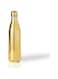 FEELINGS Water Bottle Stainless Steel Double Wall Insulated, Thermos for Hot and Cold Water, Kids School Hydro Flask, Metal Water Bottle for Gym, Office, 750ML (Gold)