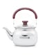 Royalford Stove Top Tea Kettle &ndash; Large Capacity Stainless Steel Stove-top Tea Pot - Tea Coffee Pot Ideal for Home Office &amp; Hotel &ndash; Compact &amp; Stylish Design with Heat Resistant Handle, 1 Liter