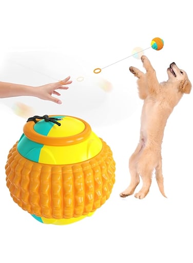 NW Ring Telescopic Drawstring Ball Hand Throwing Ball Yo-yo Pet Ball Dog Toy Pet Toy Dog Ball (Orange)