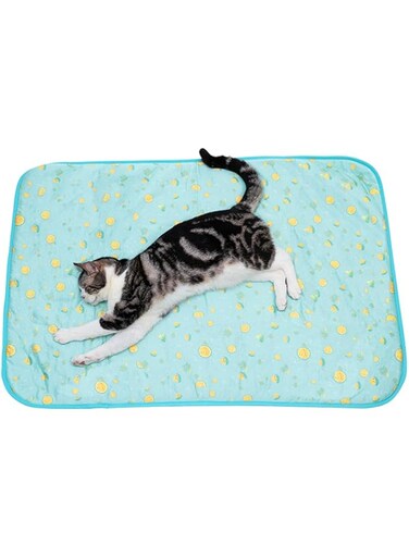 Bolivia's Cat Cooling Mat, 40x50cm Dog Cooling Mat with Non-Slip Bottom, Washable Machine Cat Cooling Mat with Breathable Ice Silk, Non-Toxic Foldable Pet Cooling Pad for Kitten Cat Puppy (Green)