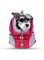 AMERTEER Pet Carrier Backpack for Dogs &amp; Cats - Breathable Head Out Design and Padded Shoulder Pet Dog Backpack, Safer Multifunctional Pet Backpack Carrier for Biking, Hiking, Trip, Shopping
