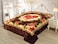 STARLIFE Double Ply Premium Quality Blanket 100% Polyester SPUN YARN Obtained From Virgin Polyester Suitable For Winter And Rainy Season 11 LB, SL-BL4403