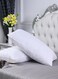IN HOUSE Set of 2-Pieces of Hotel Pillows, for Back, Neck, and Shoulder Support Soft Fluffy Stripe Hotel Pillows Microfiber White 90x50cm
