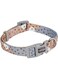 Camon Adjustable Collar for Dog, 20 mm Width x 360 mm - 480 mm Length, Ink Grey