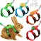 Khazna Bunny Rabbit Harness, 4 Sets Leash Set, Small Pet Cute Vest Harness Leash, with Decorations for Bunny Kitten Puppy, Small Pets (Fruit)