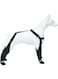 Dog Suspender Booties, Dog Paw Boot Leggings Anti-Slip, Dog Snow Pants with Attached Boots Waterproof, Adjustable Suspender Boots for Dogs Winter Snow Rain Hiking Paws Protector(L)