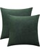 Rythome Set of 2 Comfortable Throw Pillow Cover for Bedding, Decorative Accent Cushion Sham Case for Couch Sofa, Soft Solid Velvet with Zipper Hidden - 18"x18", Dark Jungle Green