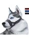 Lepark Dog Muzzle for Small, Medium, Large Dogs Prevent from Biting, Barking and Chewing, Adjustable Loop (M/Black)