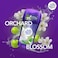 Lady Speed Stick Fresh Essence Antiperspirant Deodorant Stick Orchard Blossom, 65g