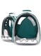 N C Pet Carrier Backpack,Cats and Puppies Cat Breathable bag Pet Portable Carrier Bag Outdoor Travel backpack for cat and dog Transparent Space (Green)