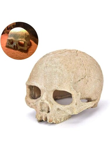 Holoras Fish Tank Decorations, Aquarium Skull Artificial Skeleton Decoration Cave Landscape Pet Reptile House