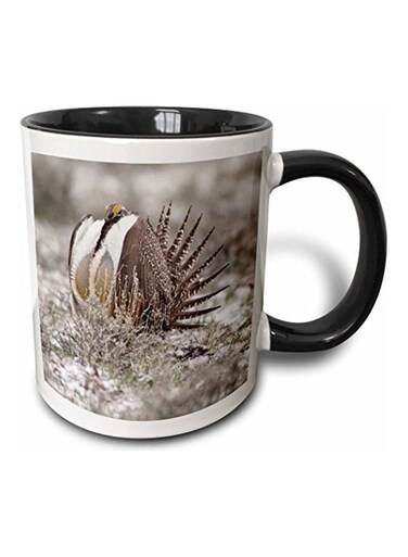 Greater Sage Grouse Bird Printed Mug Black/White/Brown
