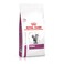 Royal Canin Renal Dry Cat Food 2kg
