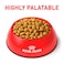 Royal Canin Feline Urinary S/O - Dry food for Lower Urinary tract disease 1.5 Kg
